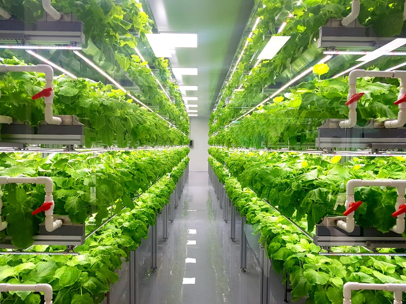 Agricultural Applications: Irrigation Water and Nutrient Solution Filtration