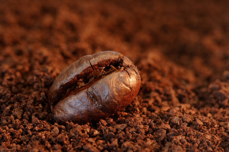 Coffee and Tea Processing: Removing Fine Grounds and Particles